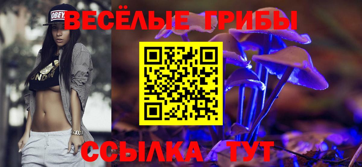 Гудермес  Галлюциногенные грибы Magic Shrooms  Псилоцибиновые грибы прущие грибы  Вход с VPN 